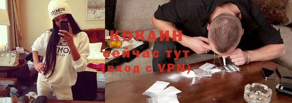 сатива Баксан
