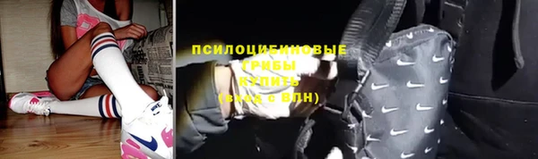 сатива Баксан