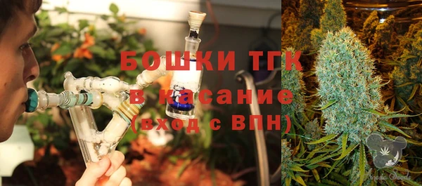 сатива Баксан