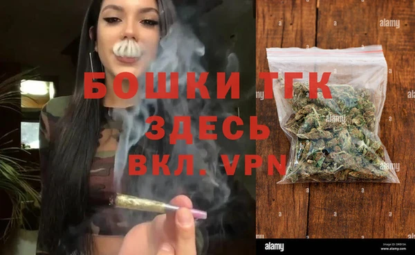 сатива Баксан