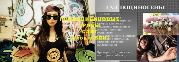 сатива Баксан