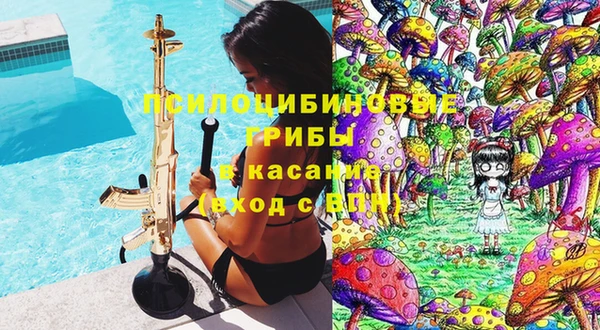 сатива Баксан